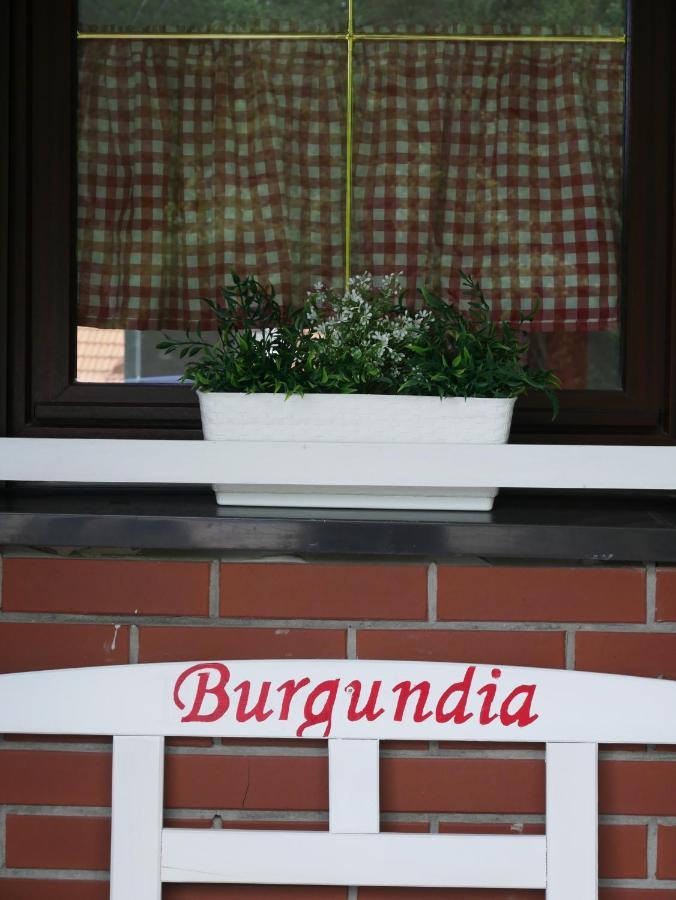 Niewinne Domki - Burgundia Живец Экстерьер фото